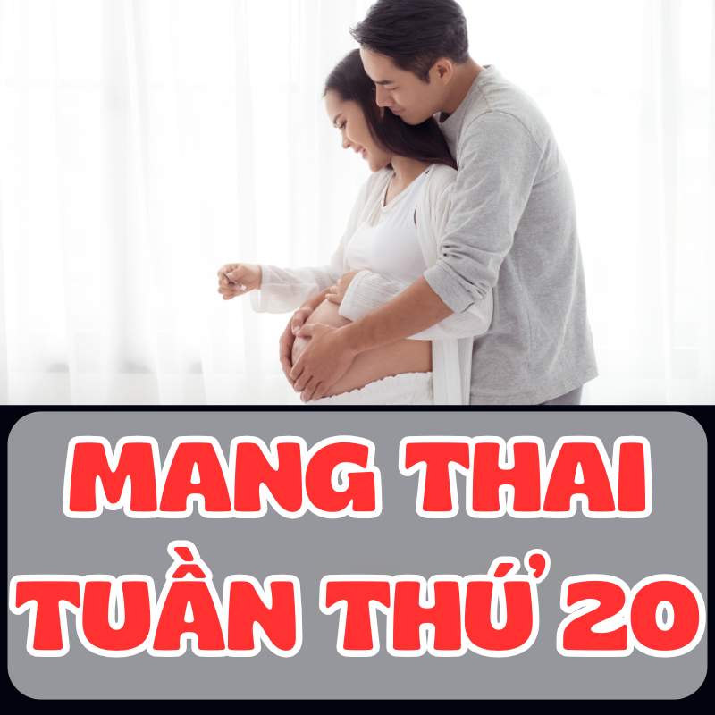 Hình ảnh mẹ bầu mang thai tuần thứ 20 bên cạnh chồng yêu